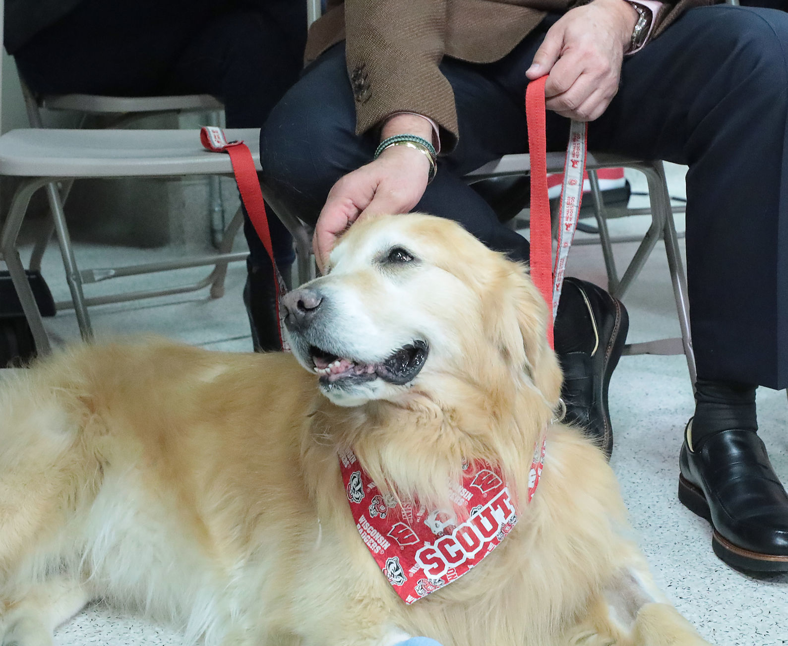 UW Vet Super Bowl Ad
